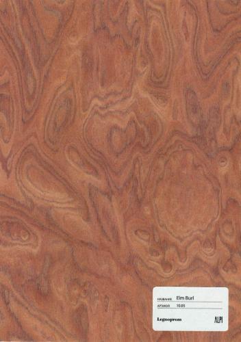 Elm Burl 10.05