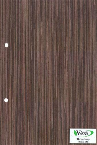 Heban Jasny HEJ X10-SP