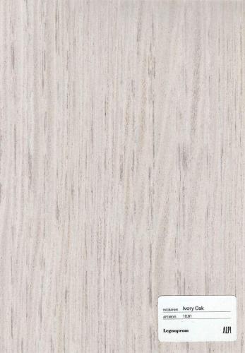 Ivory Oak 10.81