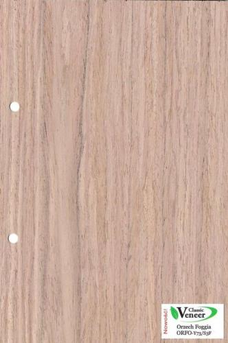 Orzech Foggia ORFO Y73-S3F