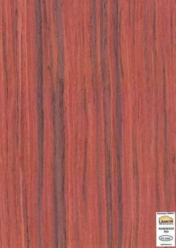 ROSEWOOD RIO PS-0580