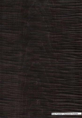 SYCAMORE TRUCOLOR
