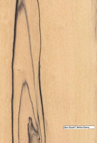 WHITE EBONY