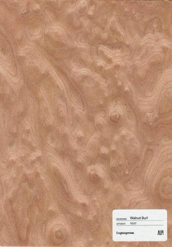 Walnut Burl 10.07